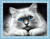 Голубоглазая кошка