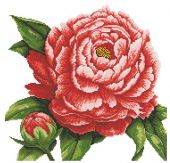 Алмазные цветы