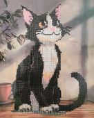 Кот