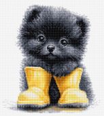 Маленький авантюрист