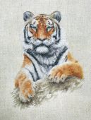 Тигр