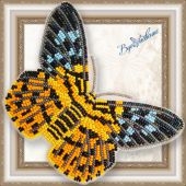 Dysphania militaris
