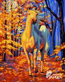 Конь в лучах заката
