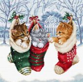Снежные котята