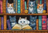 Книжная полка