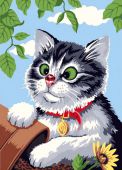 Любопытный котенок