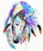 Индейская красотка