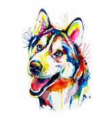 Разноцветный щенок
