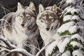 Волки в зимнем лунном свете