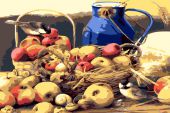 Натюрморт с птичками