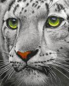 Белый тигр (Уценка)