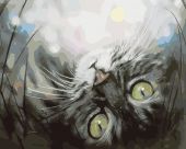 Кошечка в мечтах