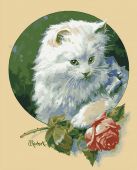 Белая кошка
