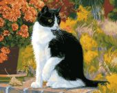 Кот Феликс