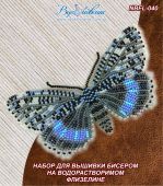 Бабочка Ленточница голубая