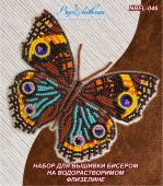 Бабочка Прецис Лавиния