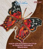 Бабочка Hypanartia Kefersteini
