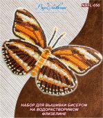 Бабочка Dryadula Phaetusa