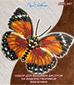 Бабочка Dryadula Phaetusa