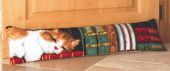Кошка, спящая на книжной полке