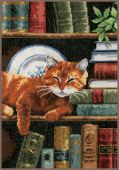 Кошка на книжной полке