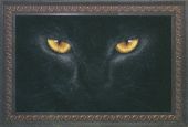 Чёрная кошка